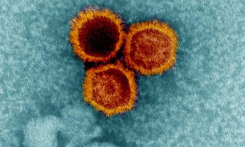 Масштабное исследование раскрыло механизмы «скрытной» жизни вирусов в организме человека